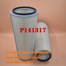 Filtro aria P141317