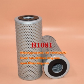 Filtro olio H1081