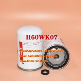 Filtro carburante H60WK07