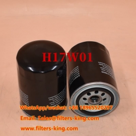 Filtro olio H17W01