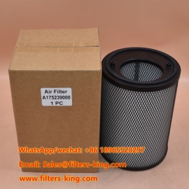 Filtro aria 175239000