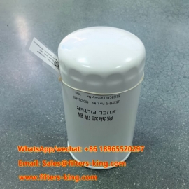 1004224607 Filtro carburante