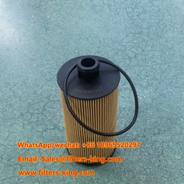 Filtro olio 1000491060
