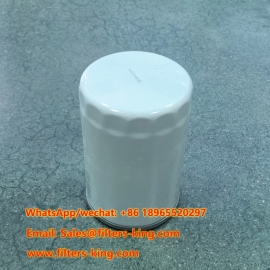 Filtro carburante 1001120353
