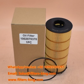 Filtro olio 1002070370