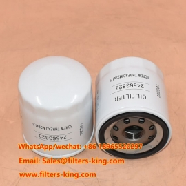 Filtro olio 24563823