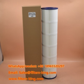 Filtro per piscina R173578