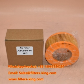 Filtro aria AF25530