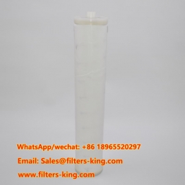 CSPHEW1-24BXH  Cartuccia filtro coalescente