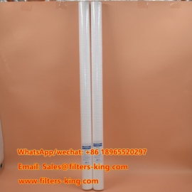 RT40B16G20CA Filtro per sedimenti in PP