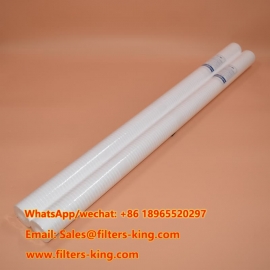 Filtro sedimenti RT40Y16G20CA