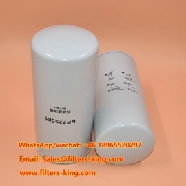 Filtro dell'olio