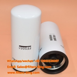 FF5551 Filtro carburante