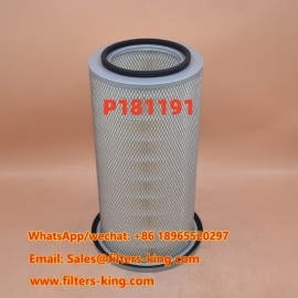 Filtro aria P181191