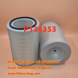Filtro aria P134353