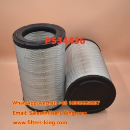 Filtro aria P534436