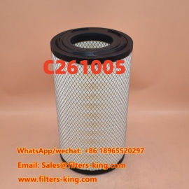 Filtro aria C261005