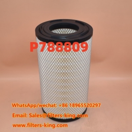 Filtro aria P788809