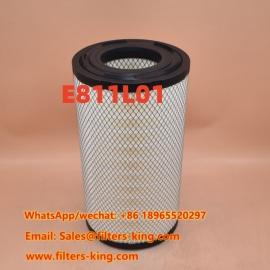 Filtro aria E811L01