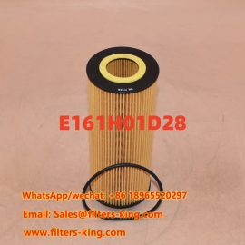 Filtro olio E161H01D28
