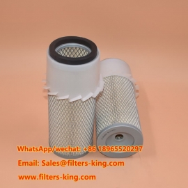 Filtro aria P182050