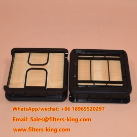 Filtro Aria AF55321